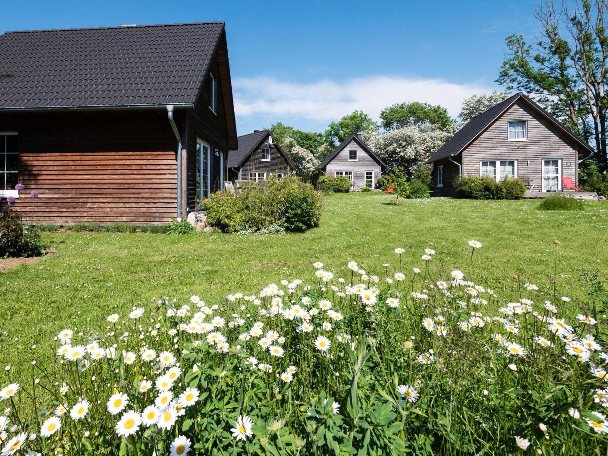 Schmidt'S Ferienhaeuser Bei Zingst Ludershagen Exteriör bild